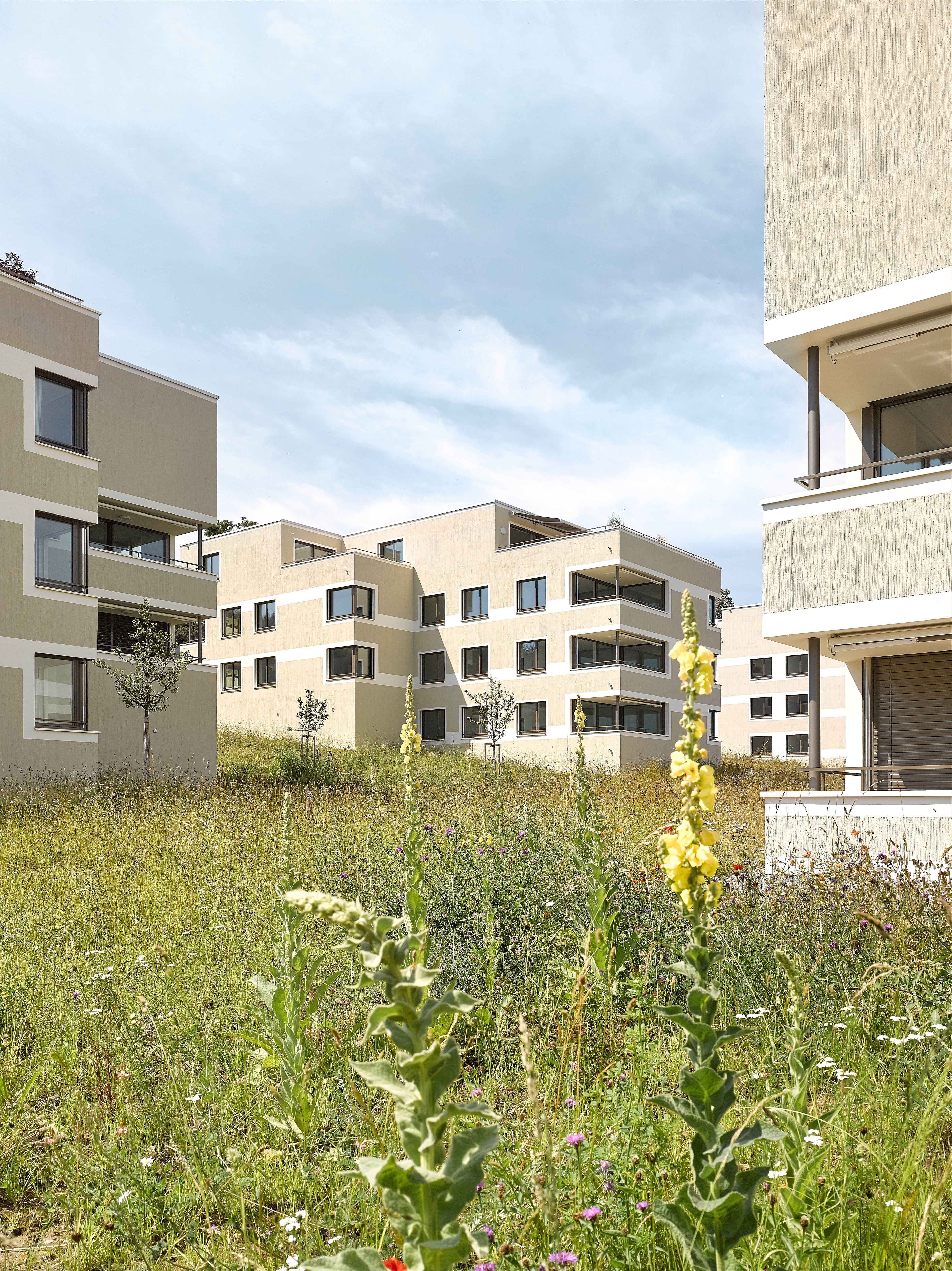 rollimarchini AG, Architekten Bern, Architektur, Wohnübergauung Bellvuepark, Port, Wettbewerb, Neubau, Wohnen